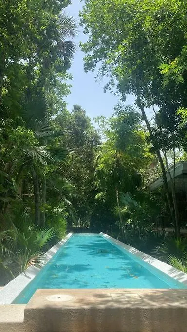 Tropical Escape Apartment Akumal 0*,